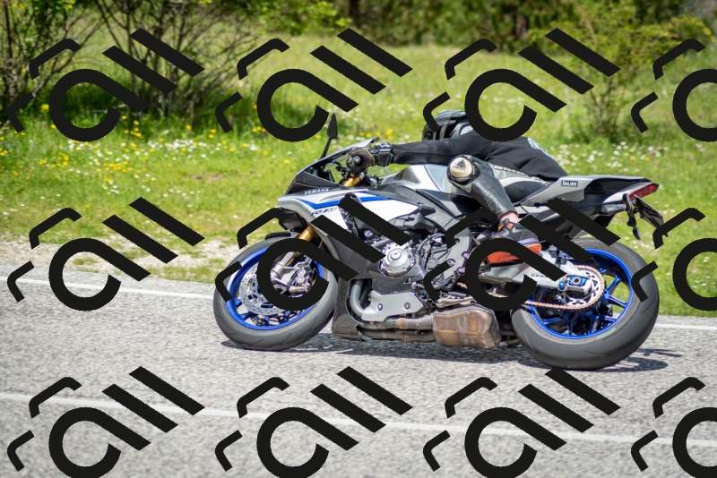 202505181223-DSC_9833_c2