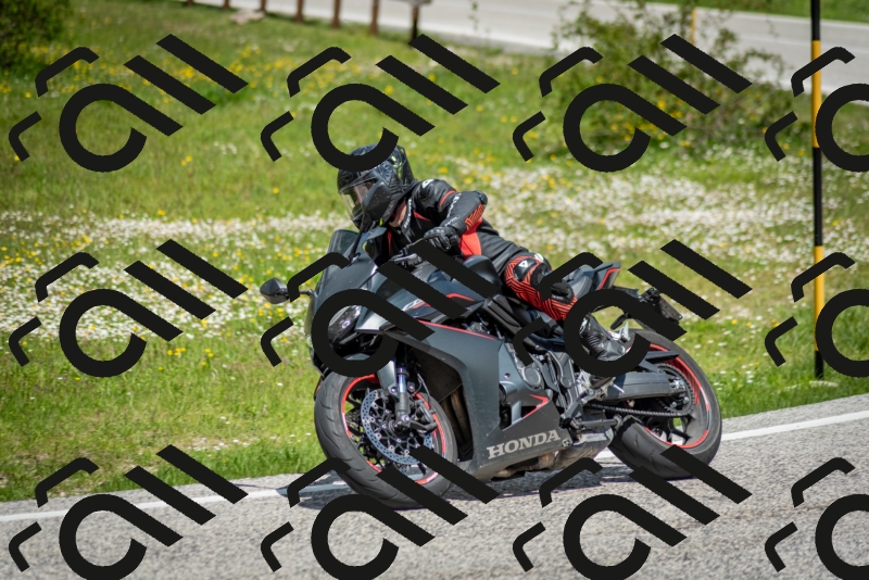 202505181223-DSC_9834_c2