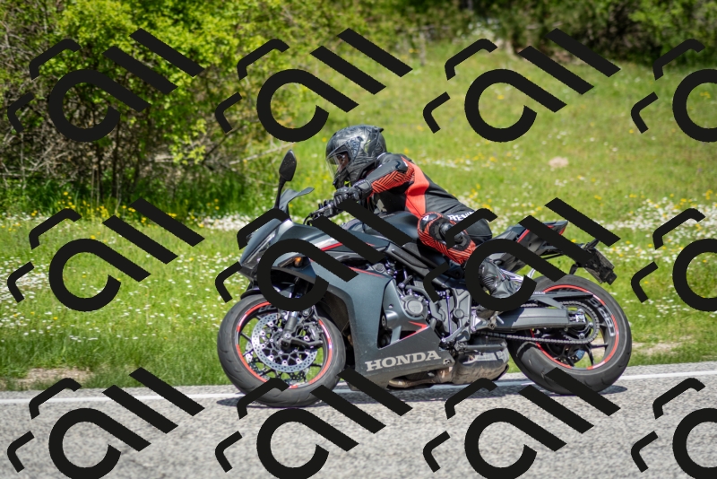 202505181223-DSC_9835_c2