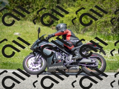 202505181223-DSC_9836_c2