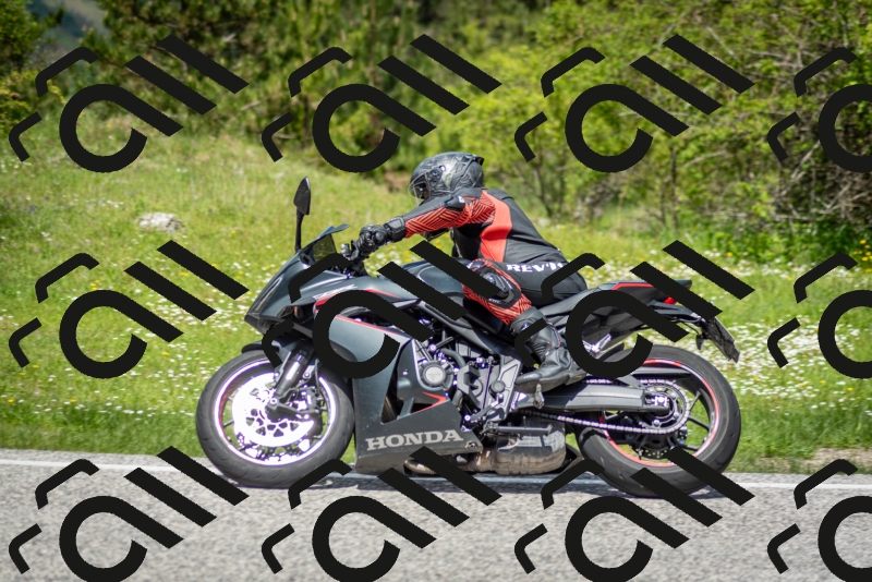 202505181223-DSC_9836_c2