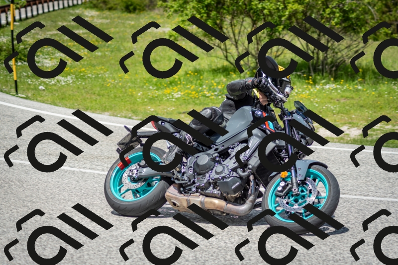 202505181223-DSC_9838_c2