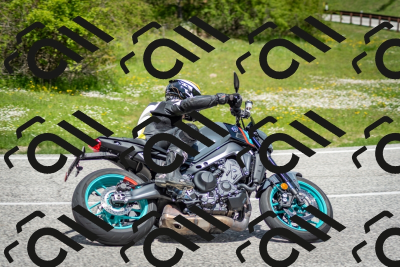 202505181223-DSC_9839_c2