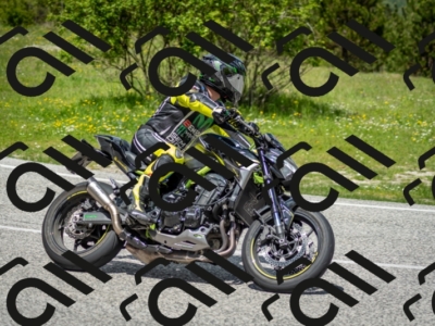 202505181224-DSC_9841_c2