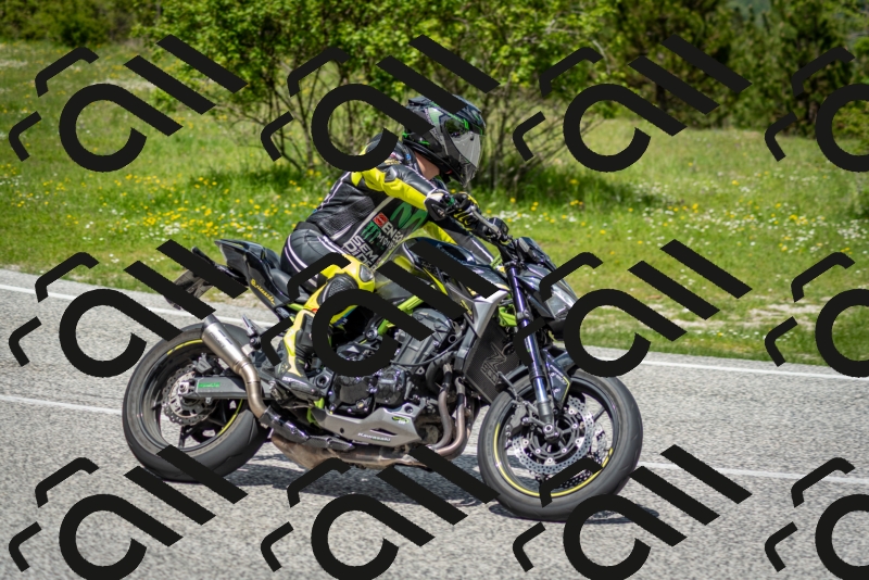 202505181224-DSC_9841_c2