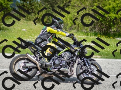 202505181224-DSC_9842_c2