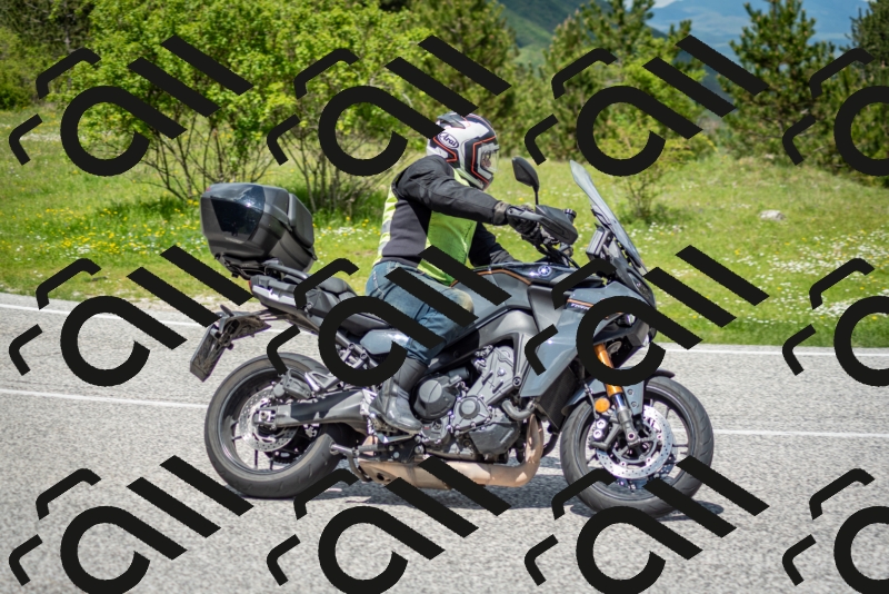 202505181224-DSC_9847_c2