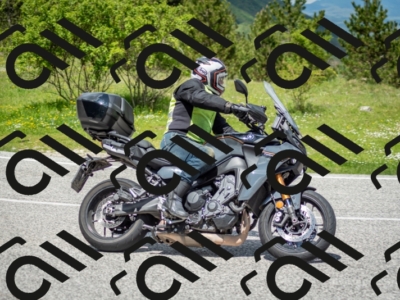 202505181224-DSC_9847_c2