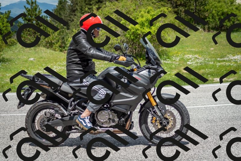 202505181224-DSC_9850_c2