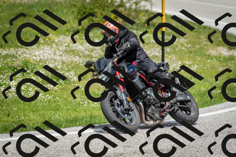 202505181224-DSC_9851_c2