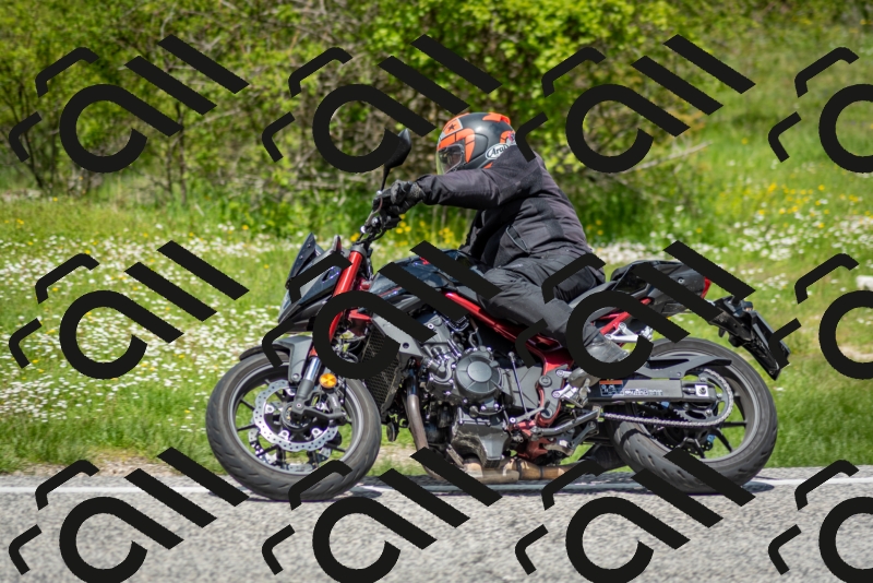 202505181224-DSC_9852_c2