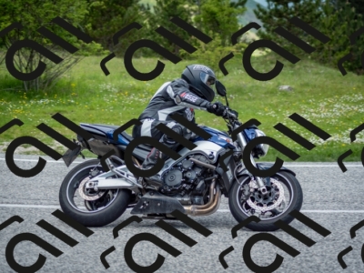 202505181228-DSC_9878_c2