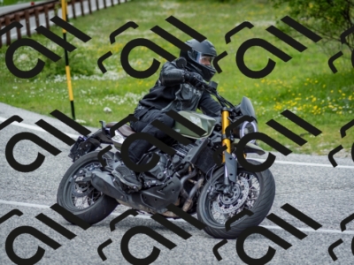 202505181228-DSC_9880_c2