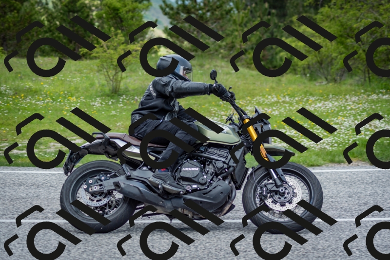 202505181228-DSC_9881_c2