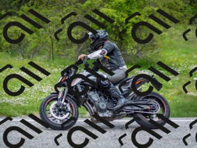 202505181228-DSC_9887_c2