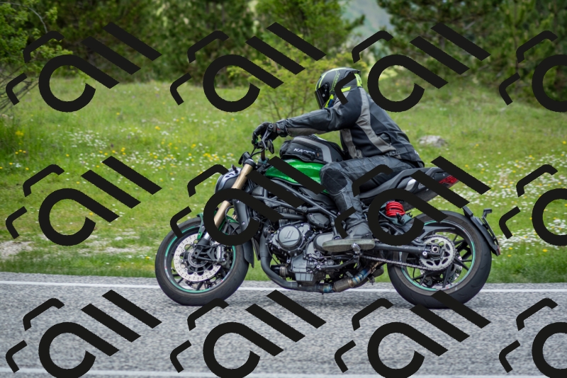 202505181228-DSC_9891_c2