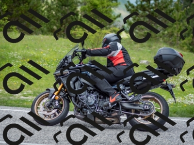 202505181228-DSC_9897_c2