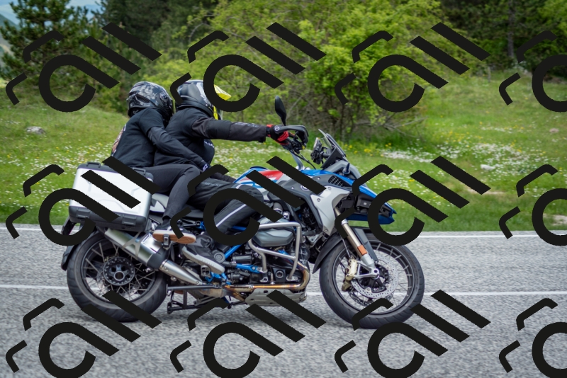 202505181228-DSC_9910_c2