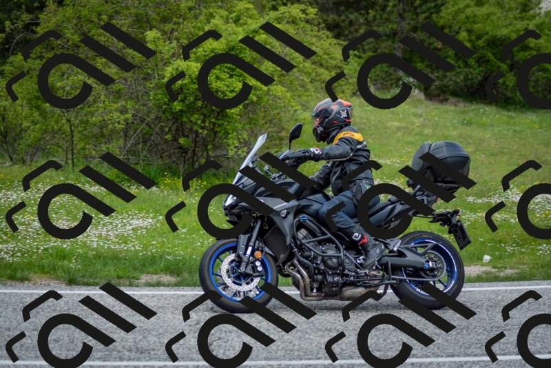 202505181229-DSC_9917_c2