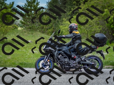 202505181229-DSC_9918_c2