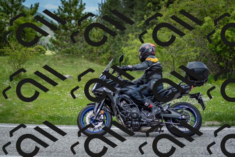 202505181229-DSC_9918_c2