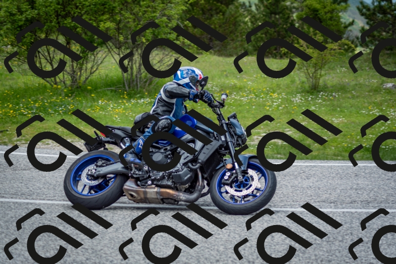 202505181229-DSC_9926_c2