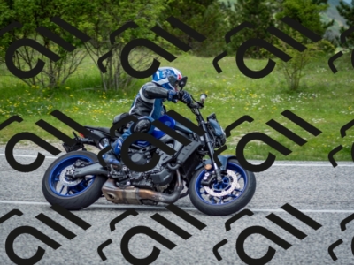 202505181229-DSC_9926_c2