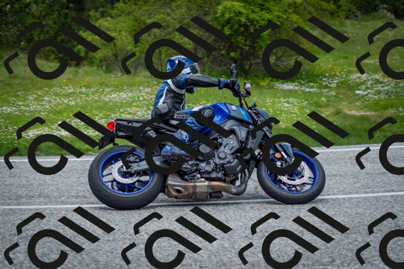 202505181229-DSC_9927_c2