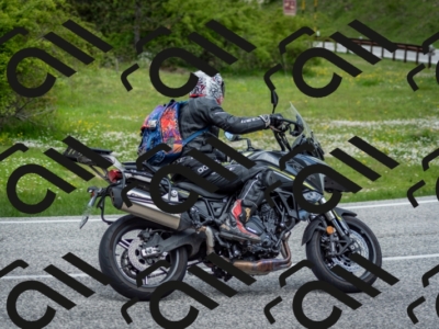 202505181229-DSC_9933_c2