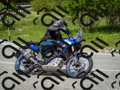 202505181231-DSC_9942_c2