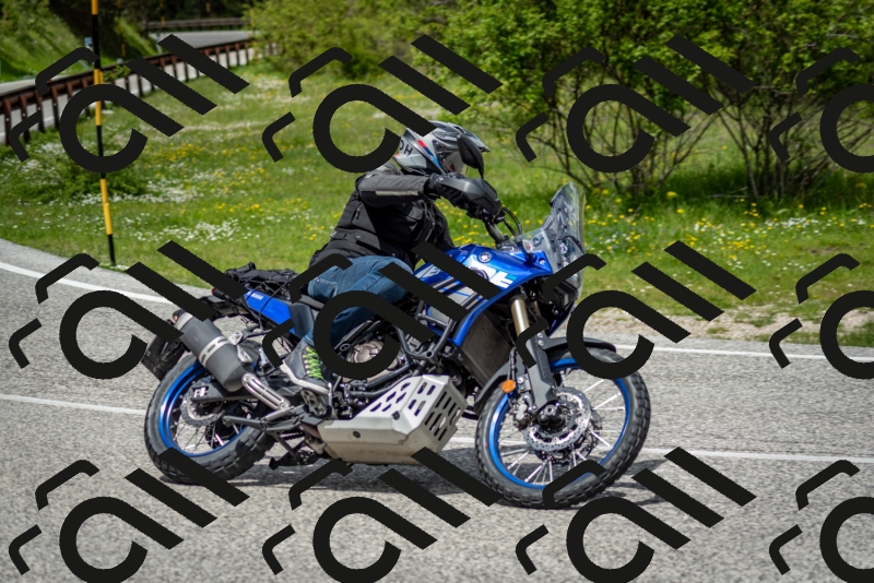 202505181231-DSC_9942_c2