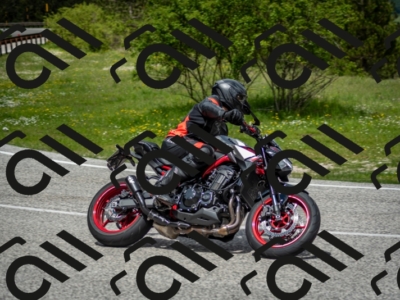 202505181231-DSC_9944_c2