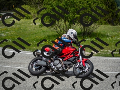 202505181231-DSC_9945_c2