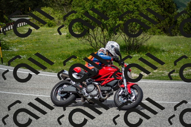 202505181231-DSC_9945_c2