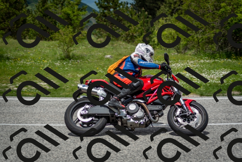 202505181231-DSC_9946_c2