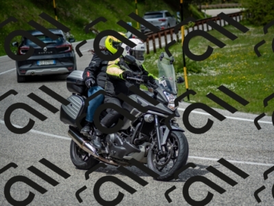 202505181231-DSC_9948_c2