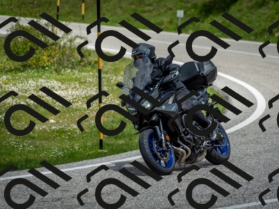 202505181231-DSC_9951_c2