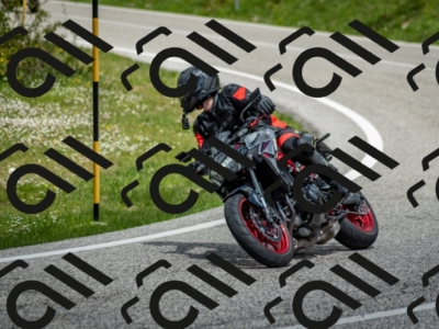 202505181232-DSC_9954_c2