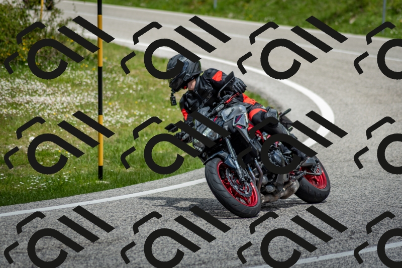 202505181232-DSC_9954_c2