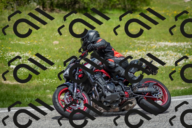 202505181232-DSC_9955_c2