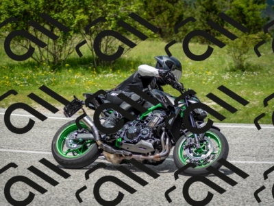 202505181232-DSC_9964_c2