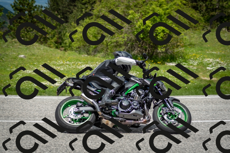 202505181232-DSC_9965_c2