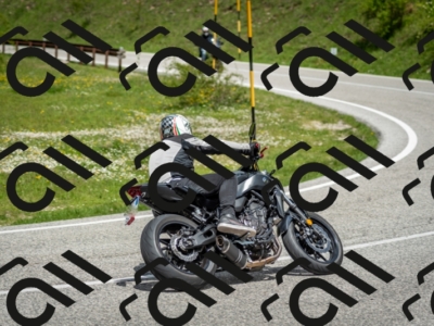 202505181232-DSC_9968_c2