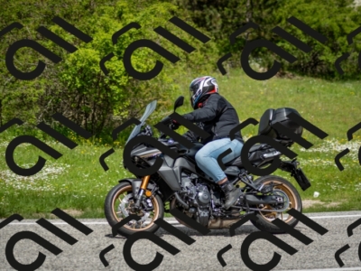 202505181232-DSC_9970_c2