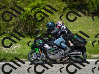 202505181232-DSC_9975_c2