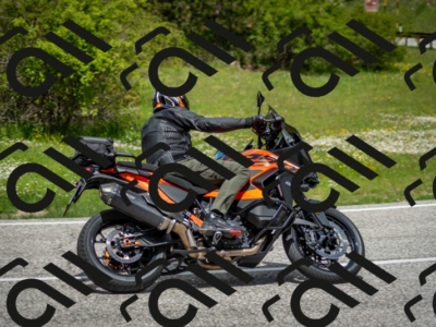 202505181234-DSC_9983_c2