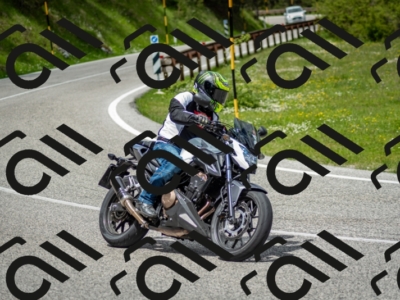 202505181234-DSC_9990_c2