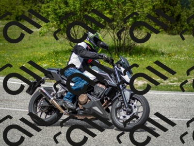 202505181234-DSC_9991_c2