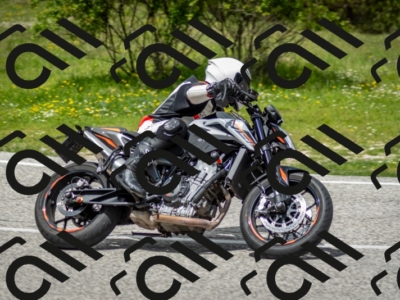 202505181235-DSC_0002_c2