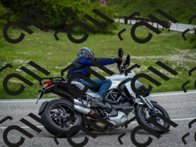 202505181236-DSC_0010_c2